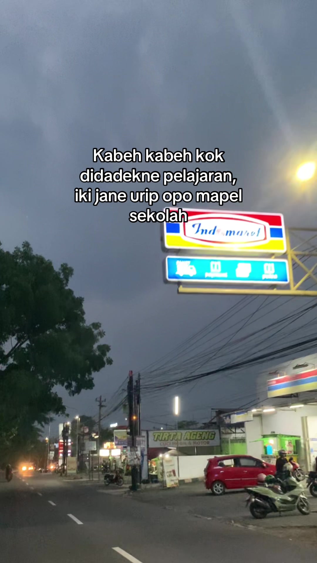 @Kadal Buluk 🦎