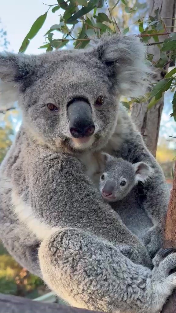 @This is Canberra