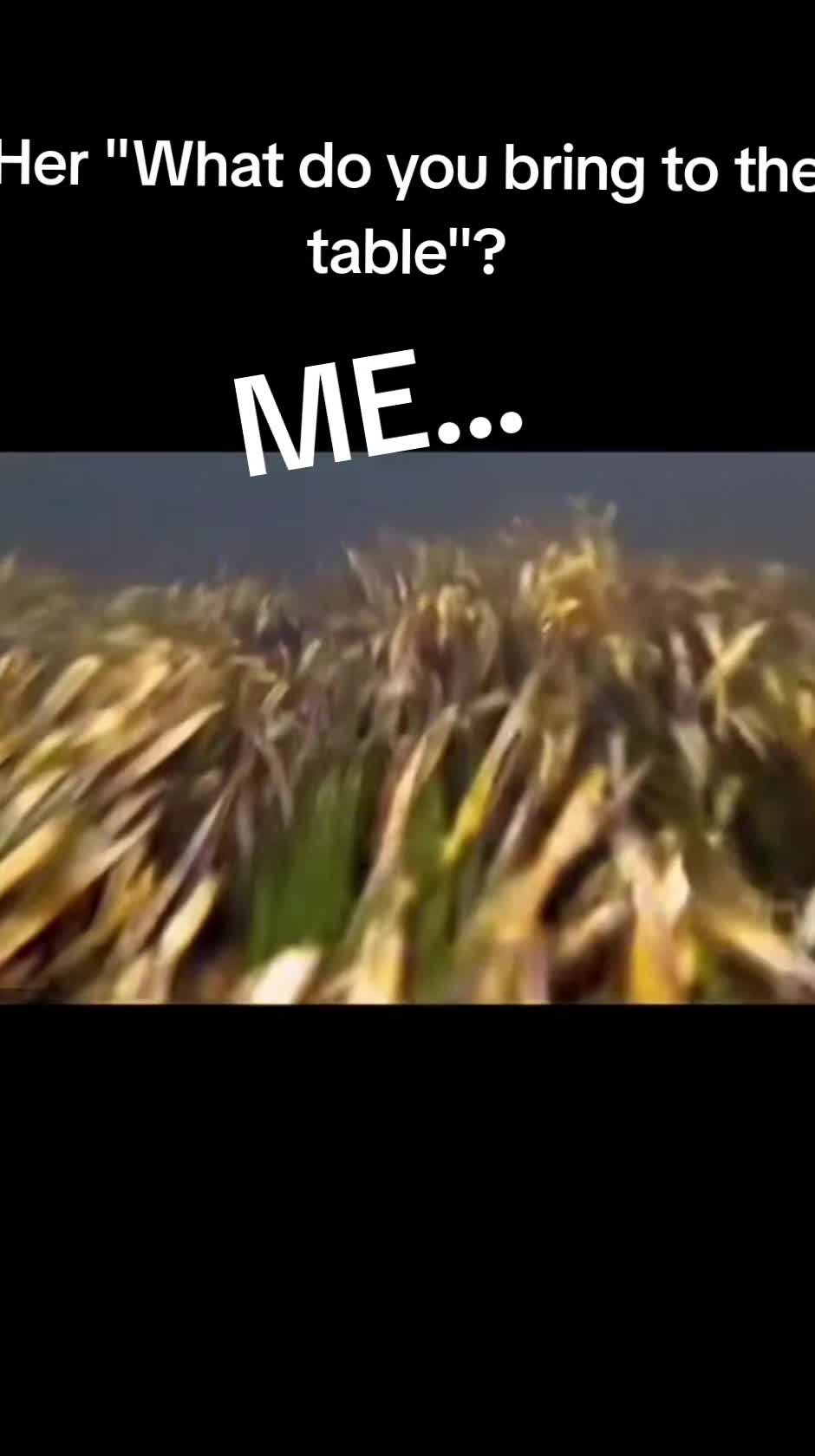 @Trailerpark2