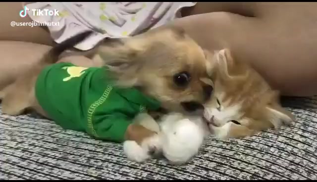 @たっちゃん。