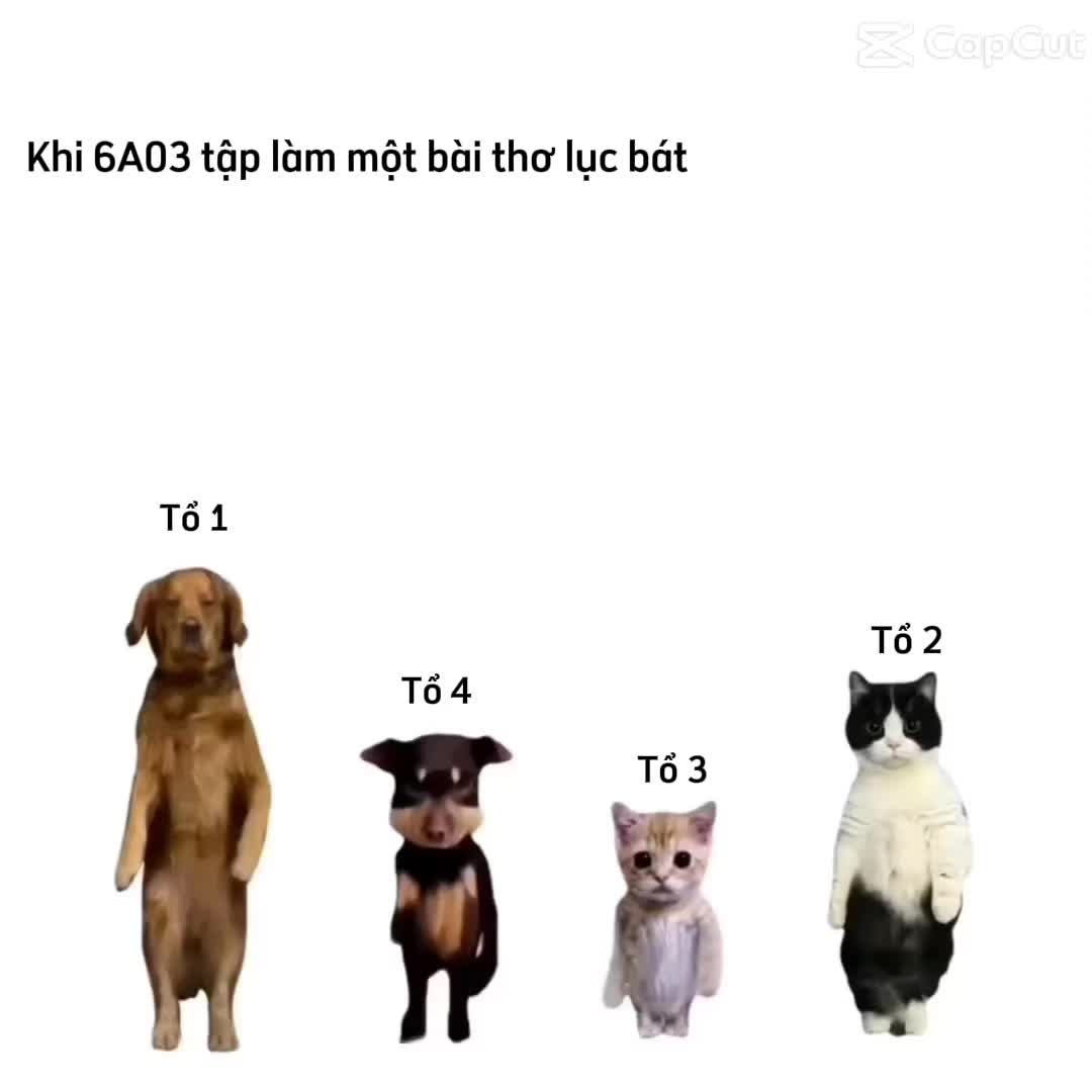 @Gánh