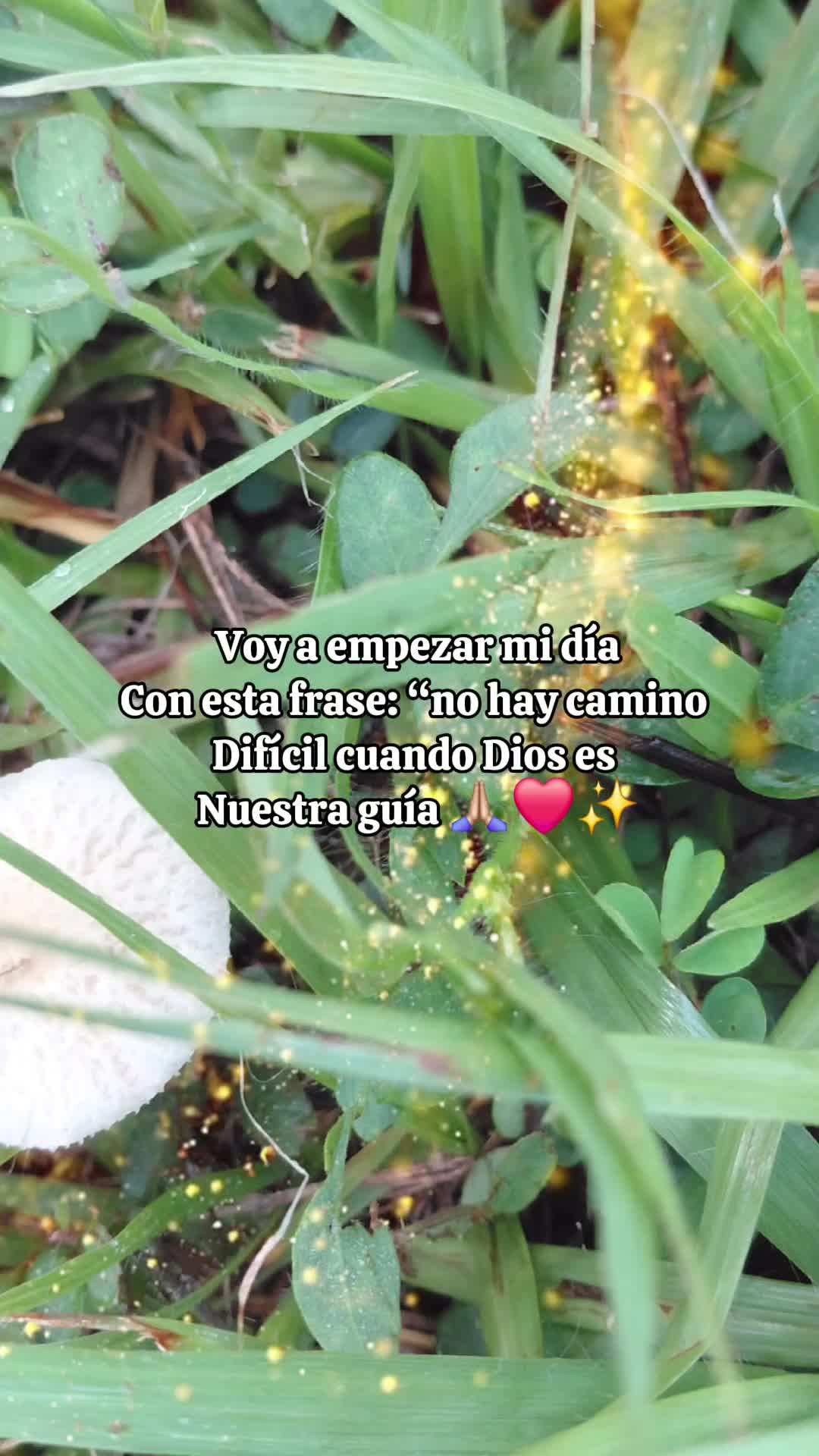 @Eunice. 503🇸🇻 ❤️