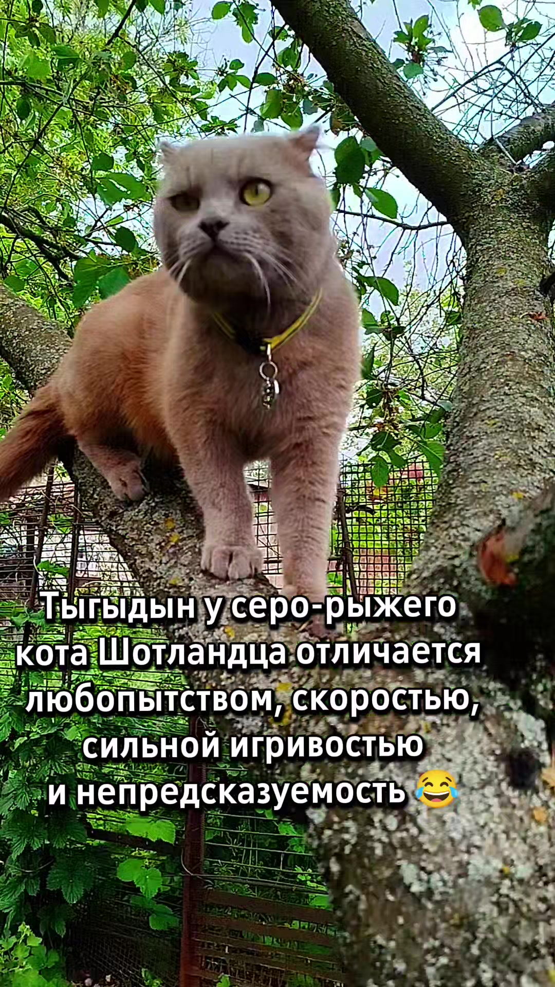 @🐈Масик&Андрей🥰