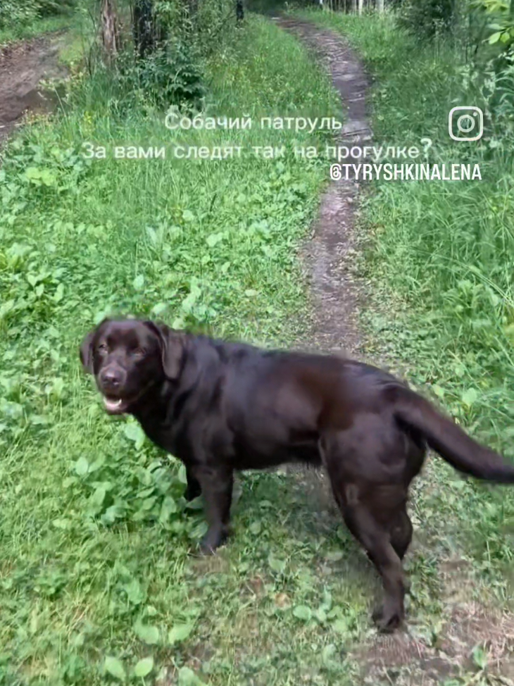 @🤗Леночка