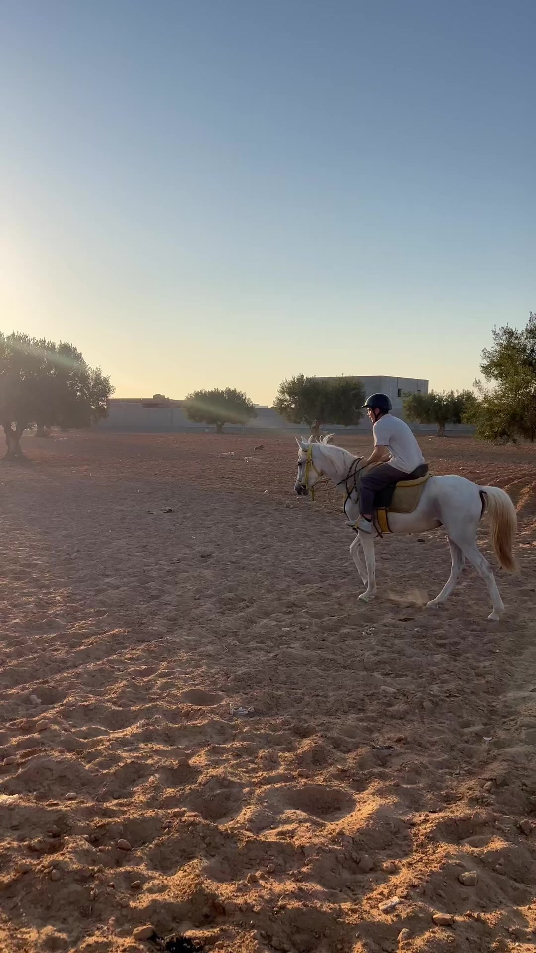 @Feres Ben Amor 🏇
