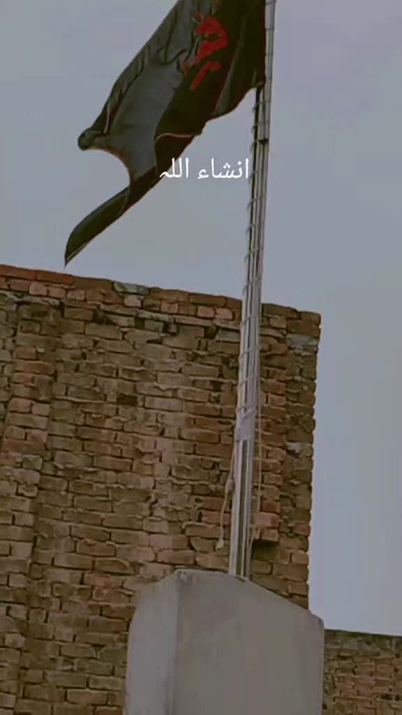 @میرے مُشکِل کُشا مولا علی ع 💯