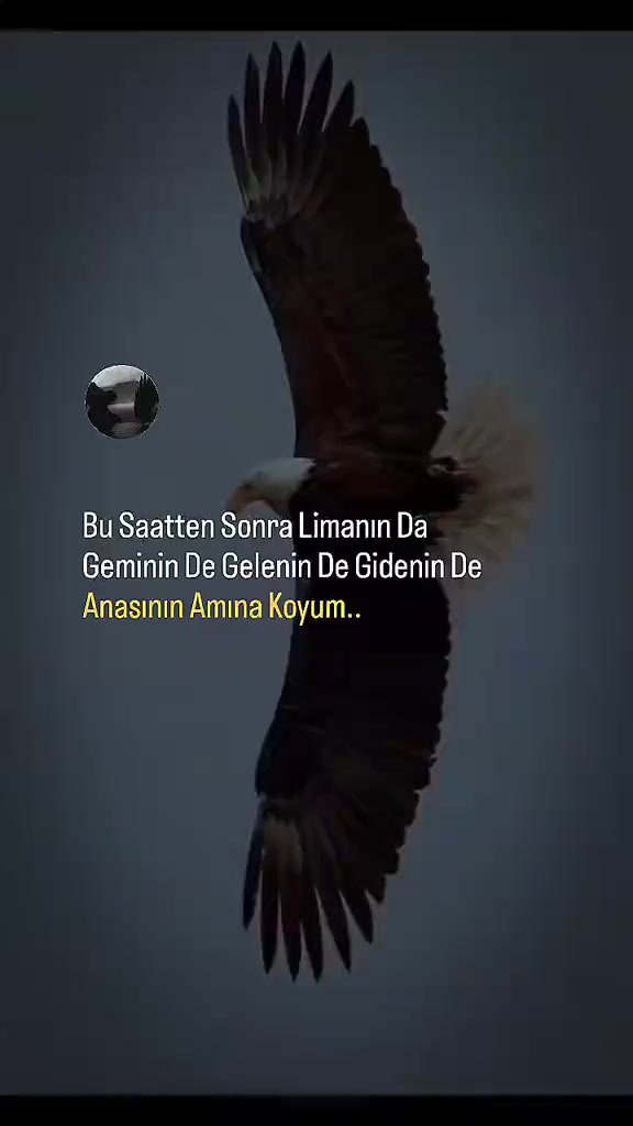 @M&uuml;cahit Korkut