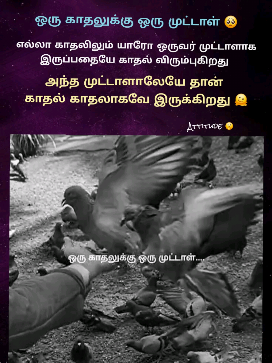 @𝐴𝑡𝑡𝑖𝑡𝑢𝑑𝑒 𝑄𝑢𝑒𝑒𝑛🔥