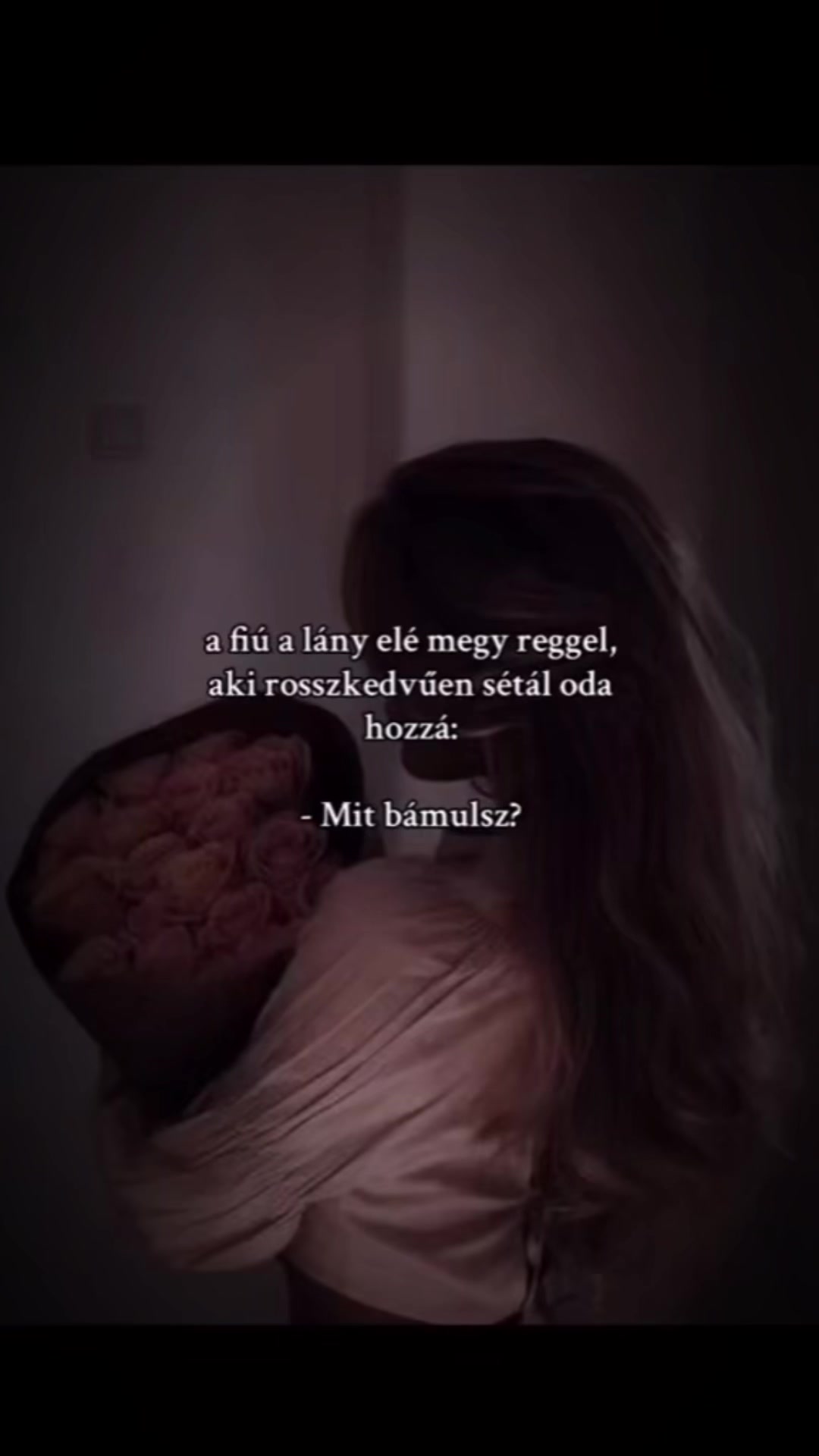 @ddorcii