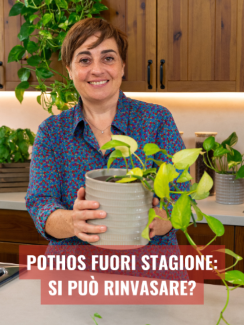 @FATTO IN CASA DA BENEDETTA