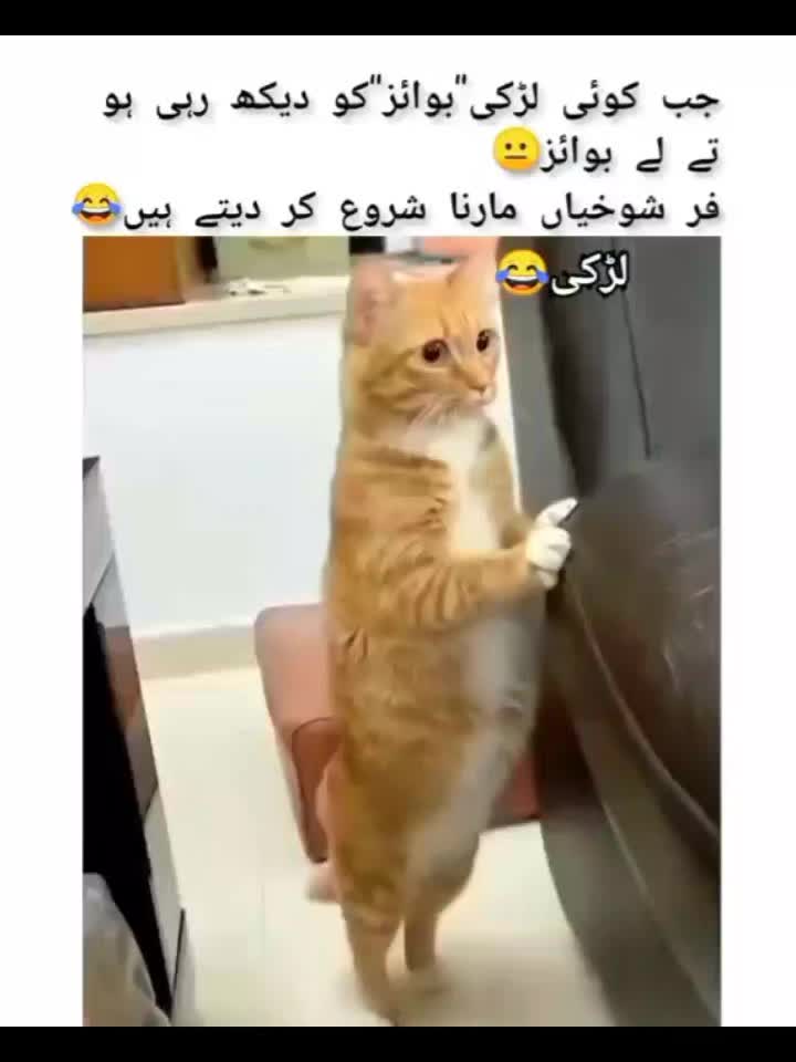 @Mis Chaudhary