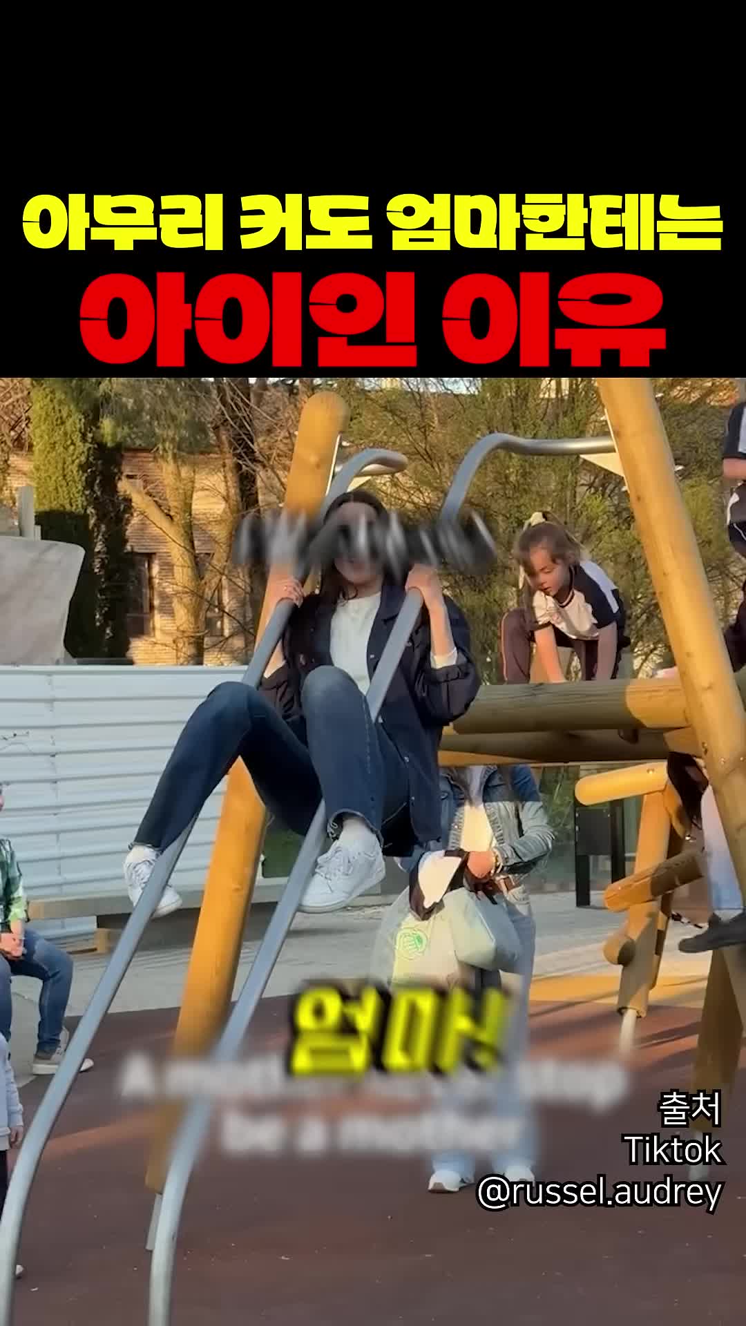 @짱아까미