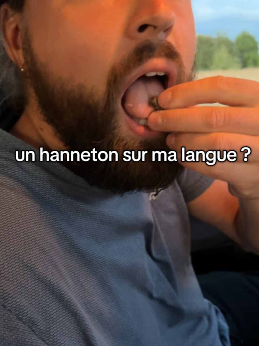 @PatocheCiboulette