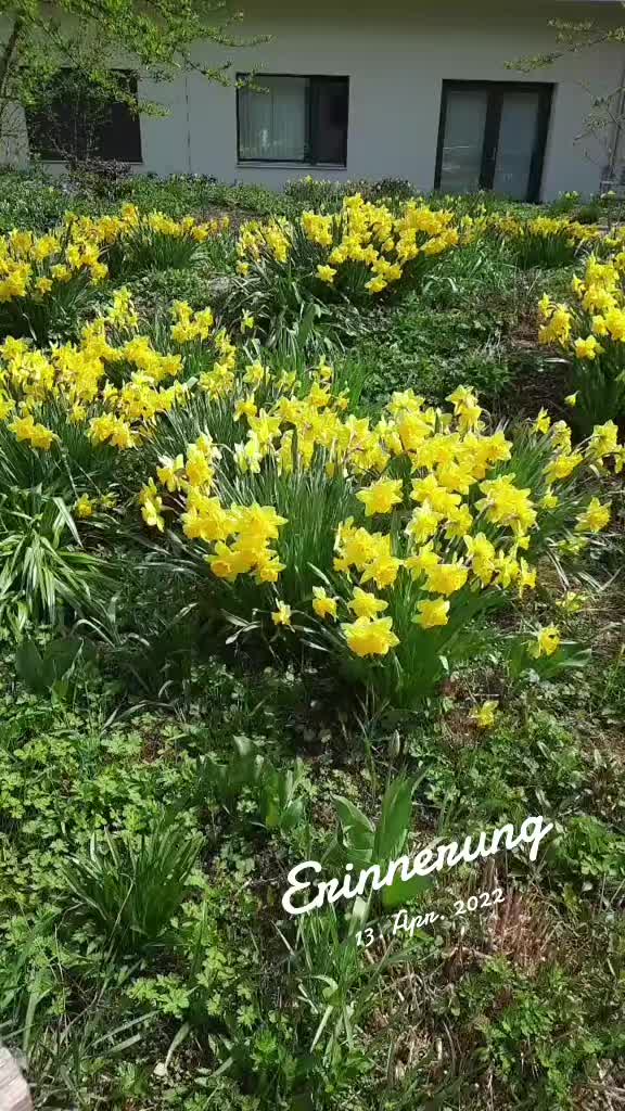 @Nadira Ismail