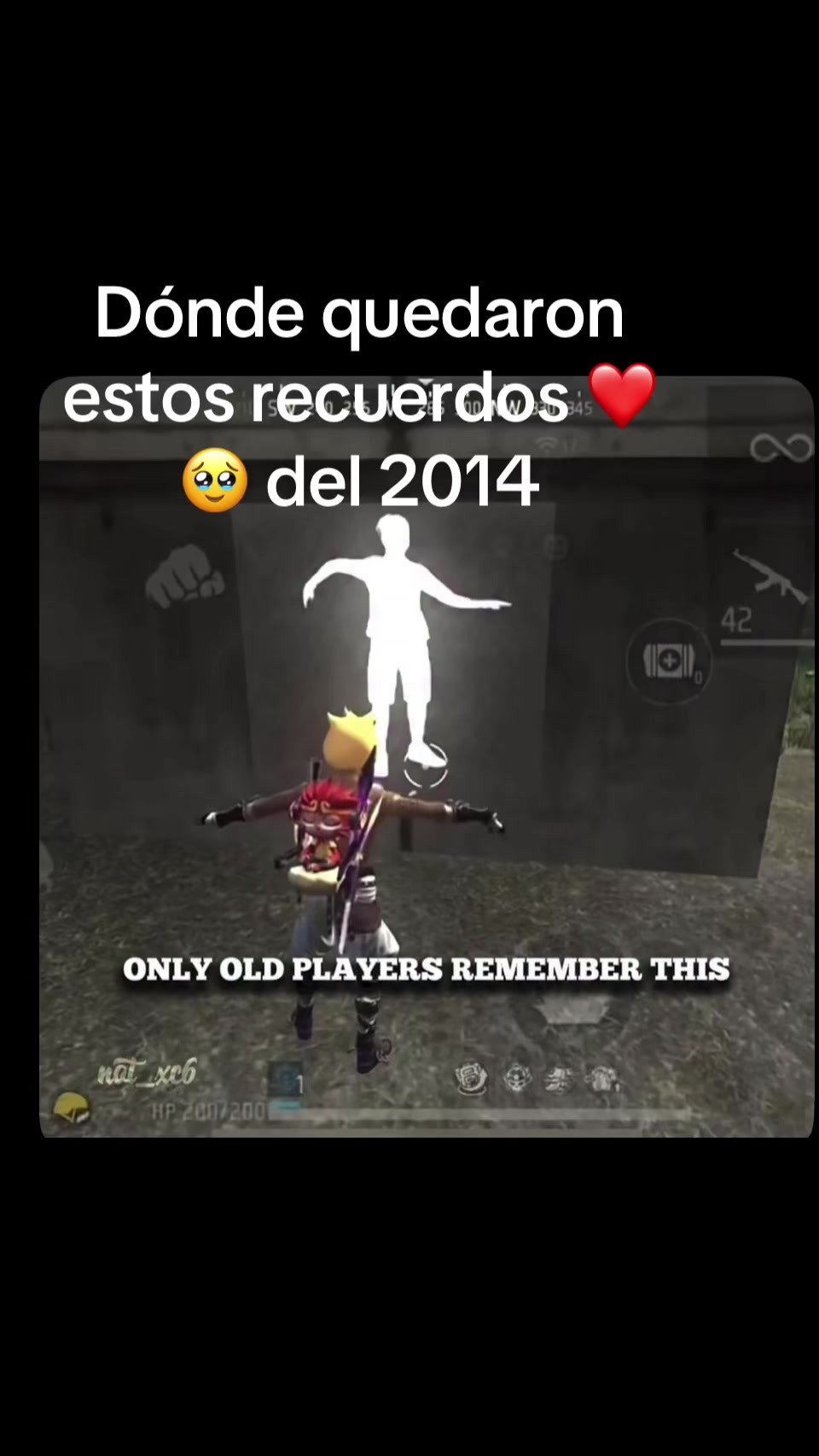 @el viajero del tiempo FF