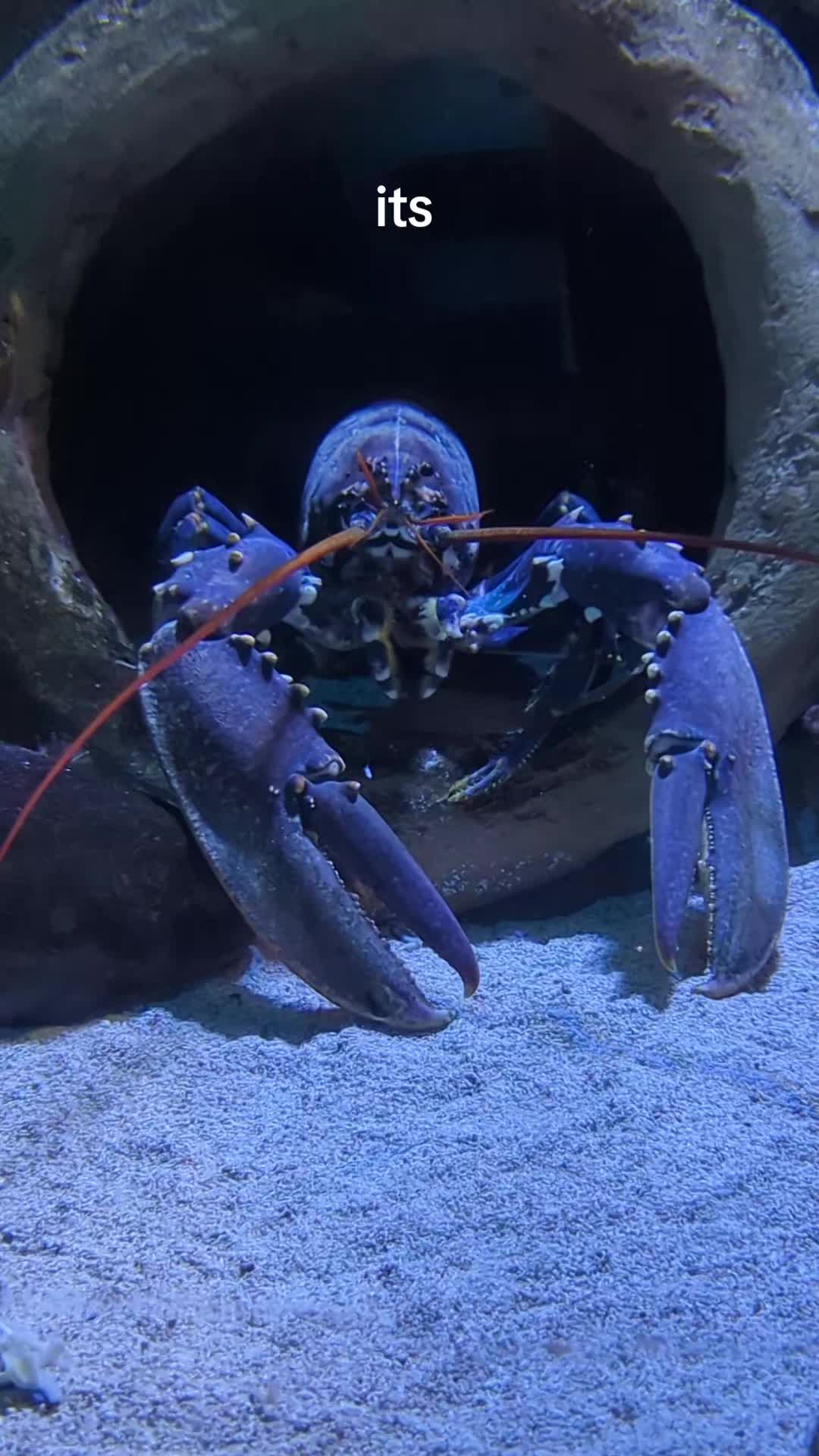 @BristolAquarium