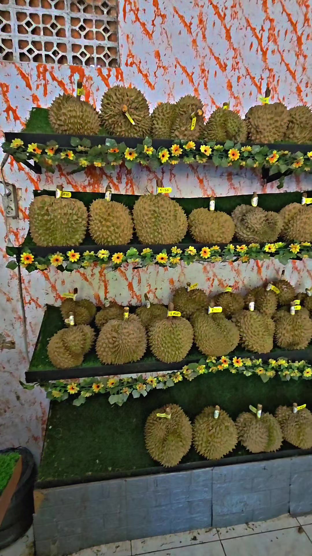 @Kenzhi Durian Tuban
