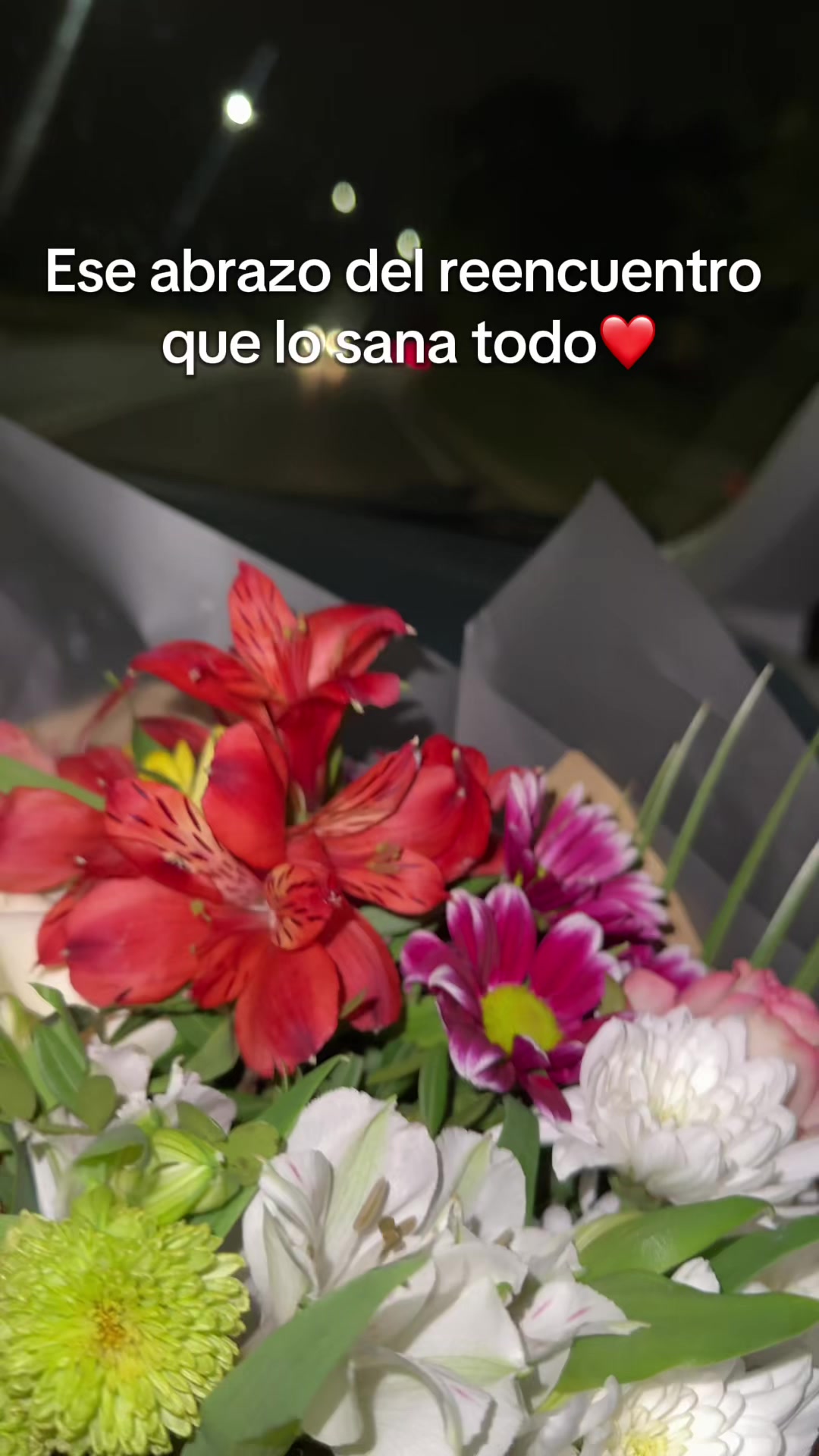 @catia
