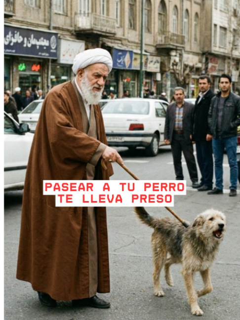 @mundobetotv
