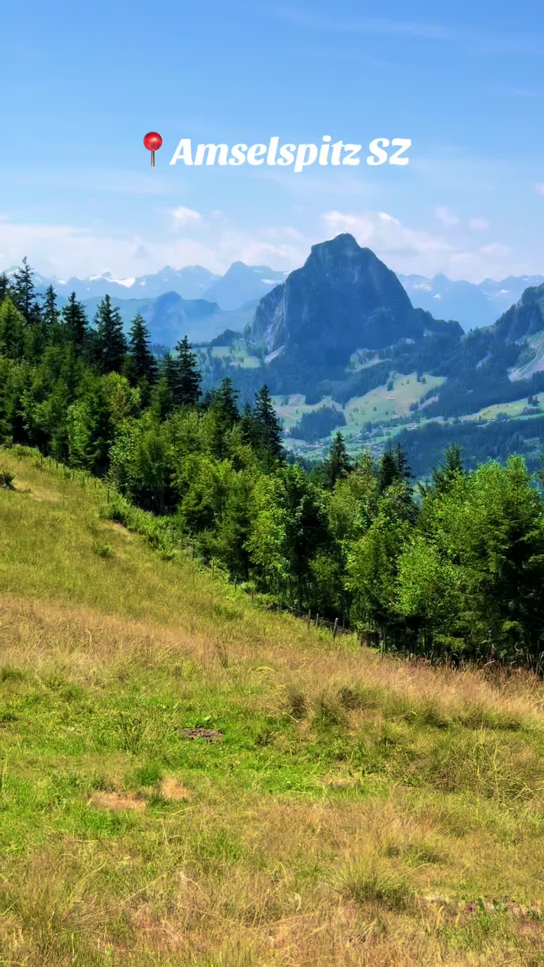 @swiss_alps