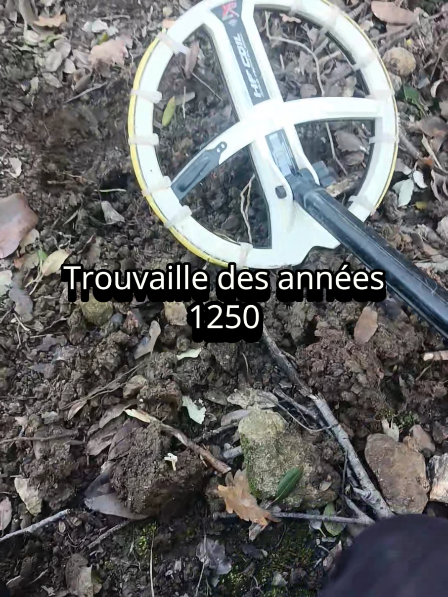 @DétecteurDeTrésor💥