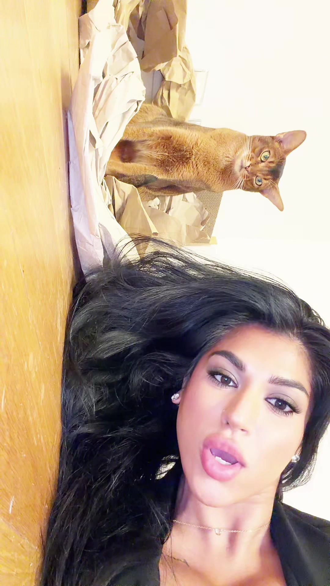 @xplsdontfindmex
