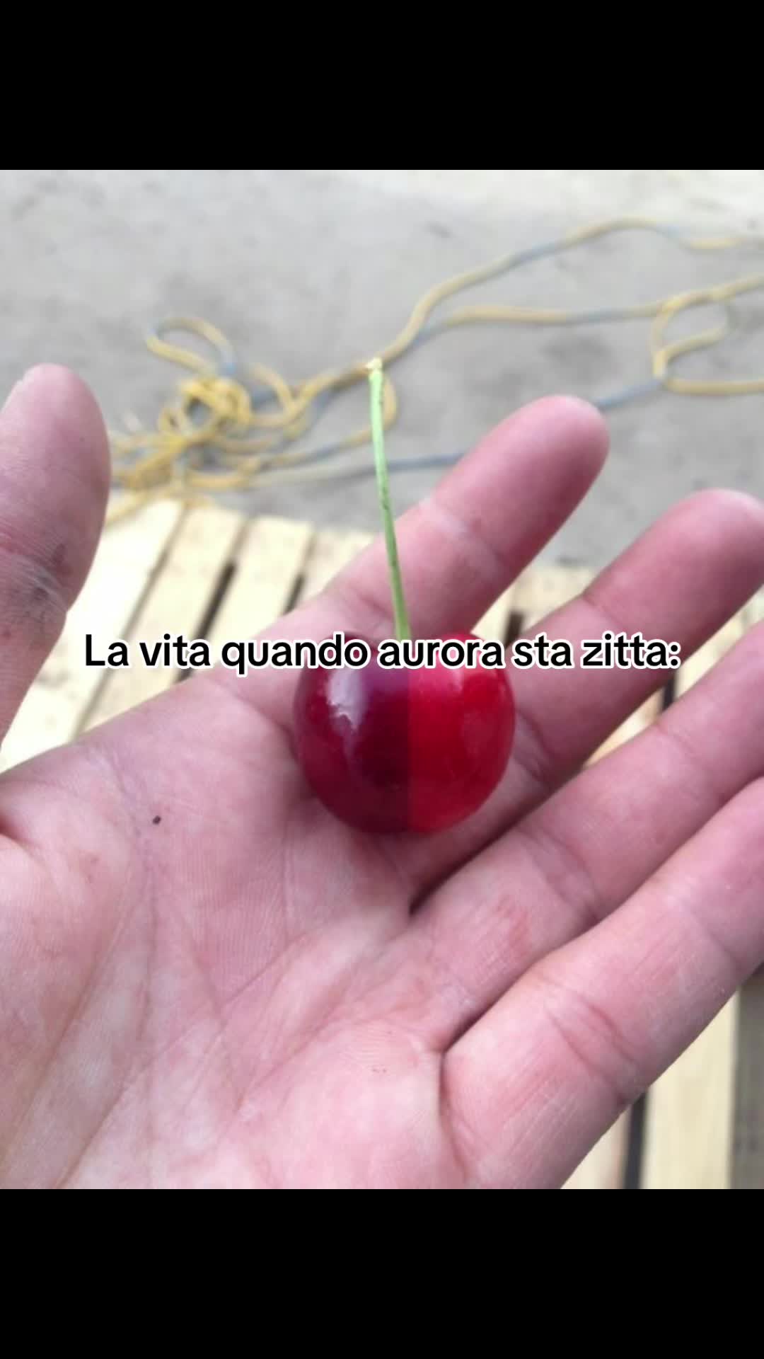 @user272622315171919