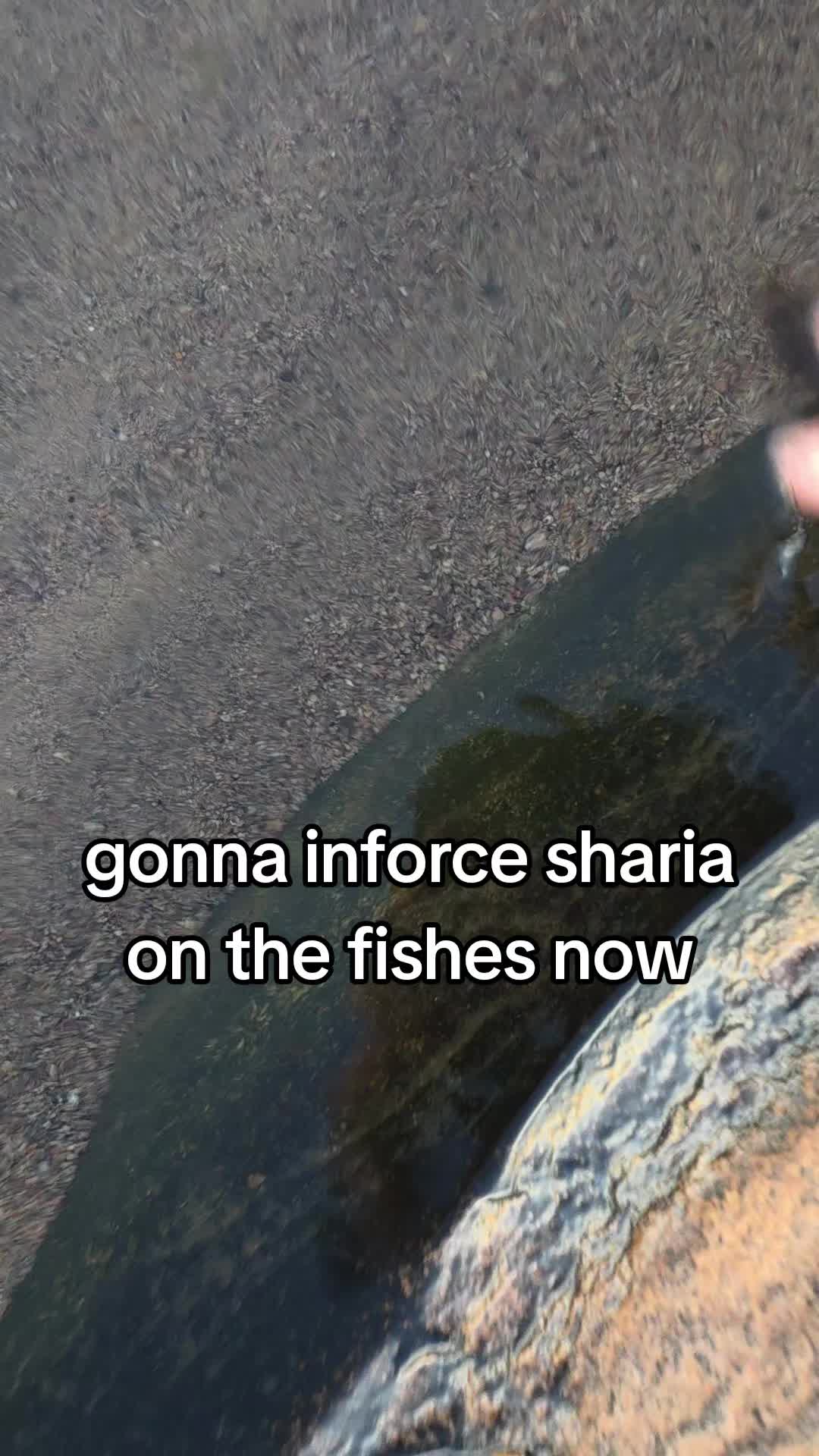 @safaabeyondborders