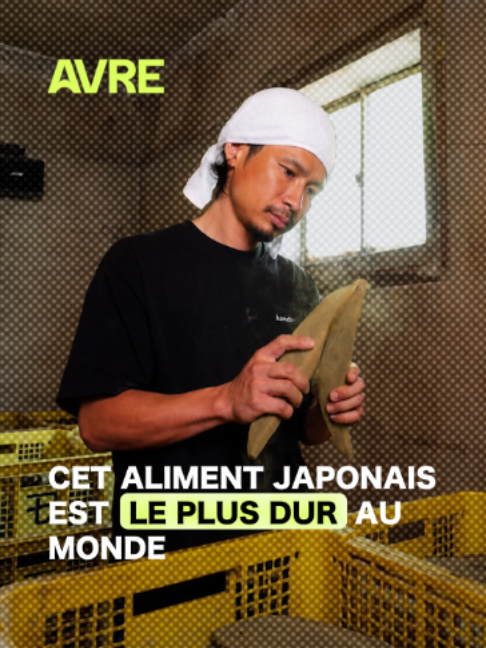@AVRE