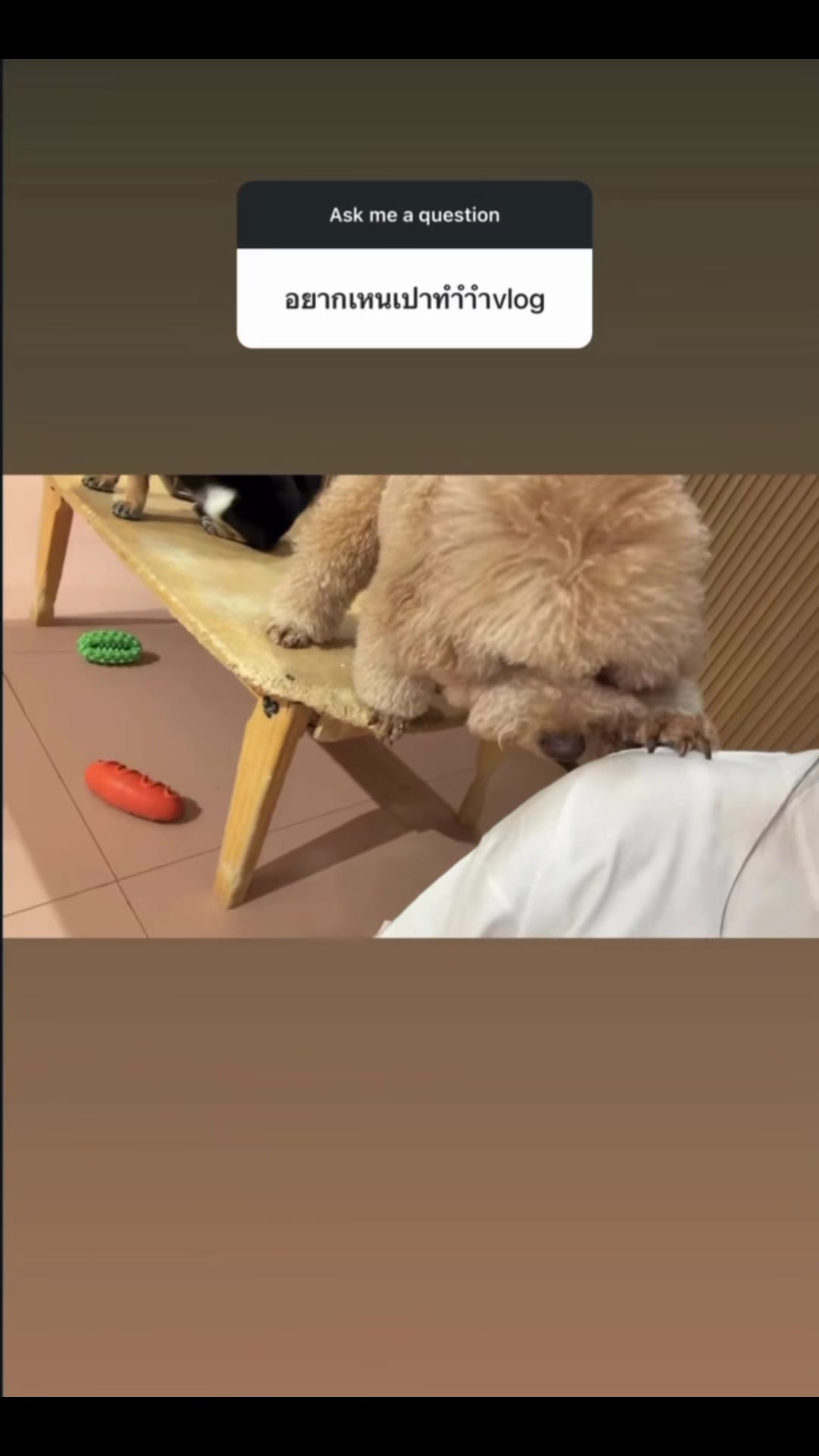 @໒꒰՞ ܸ. .ܸ՞꒱ა