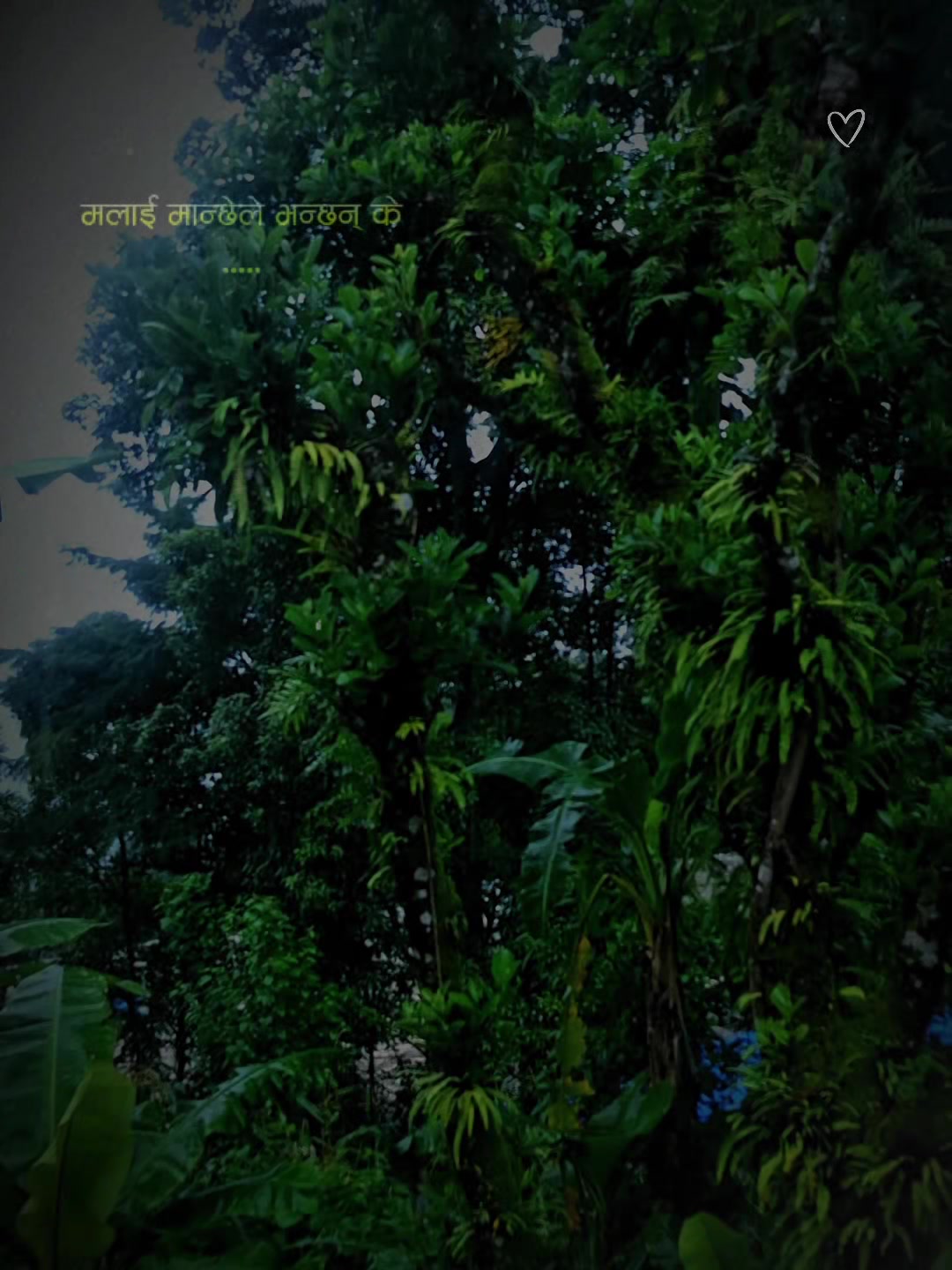 @PASHANG SHERPA