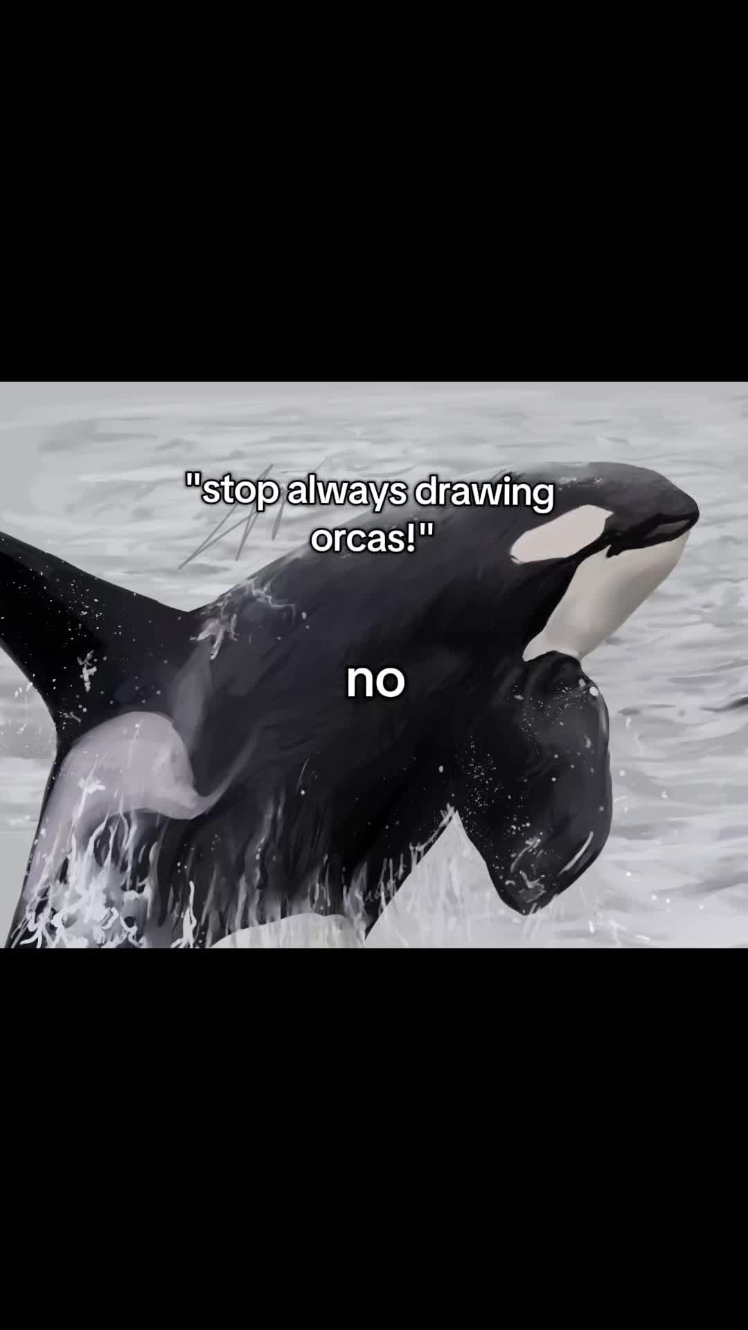 @A36orca🎨🫍