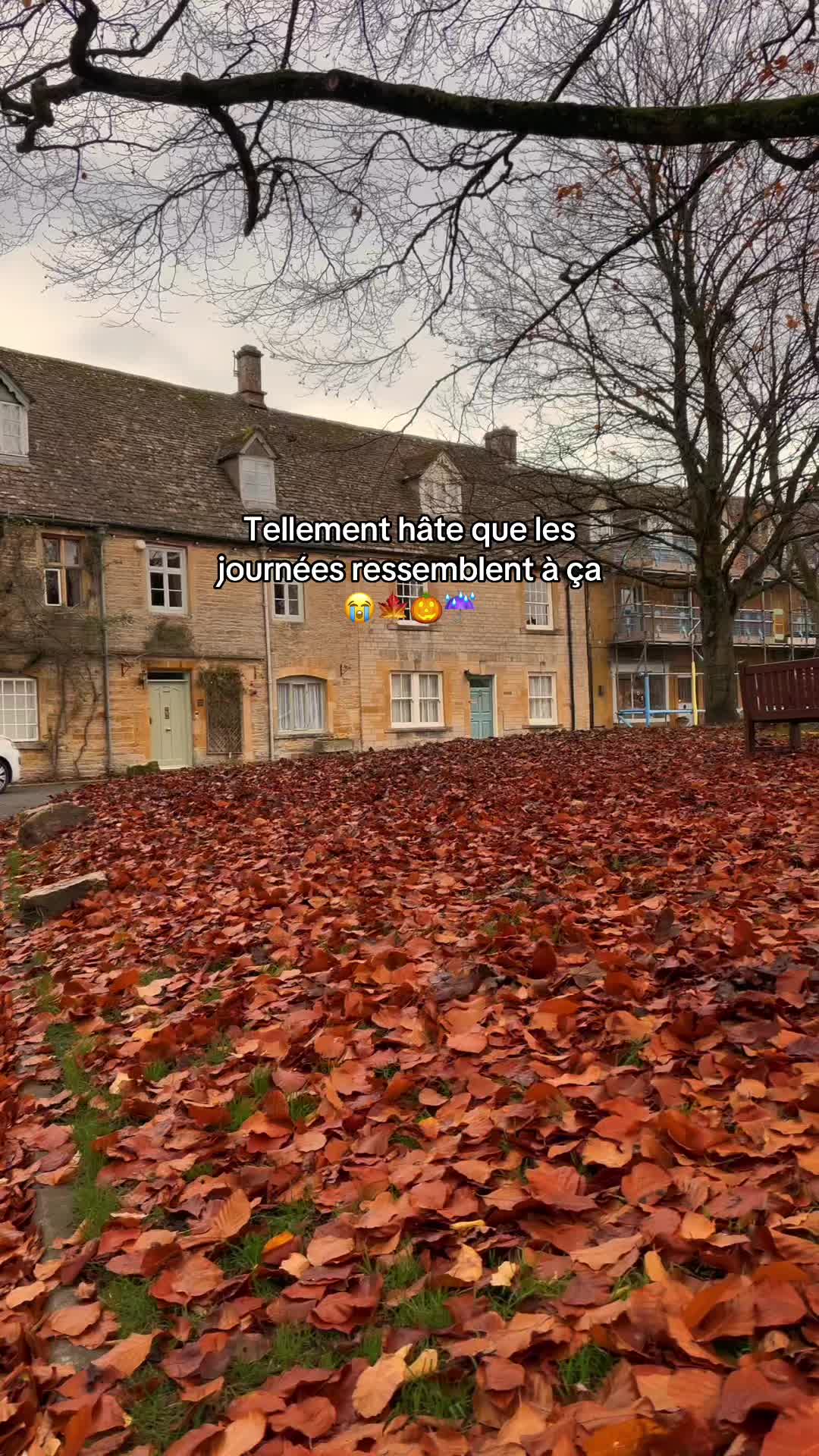 @Melanie & Damien 🇫🇷🇬🇧