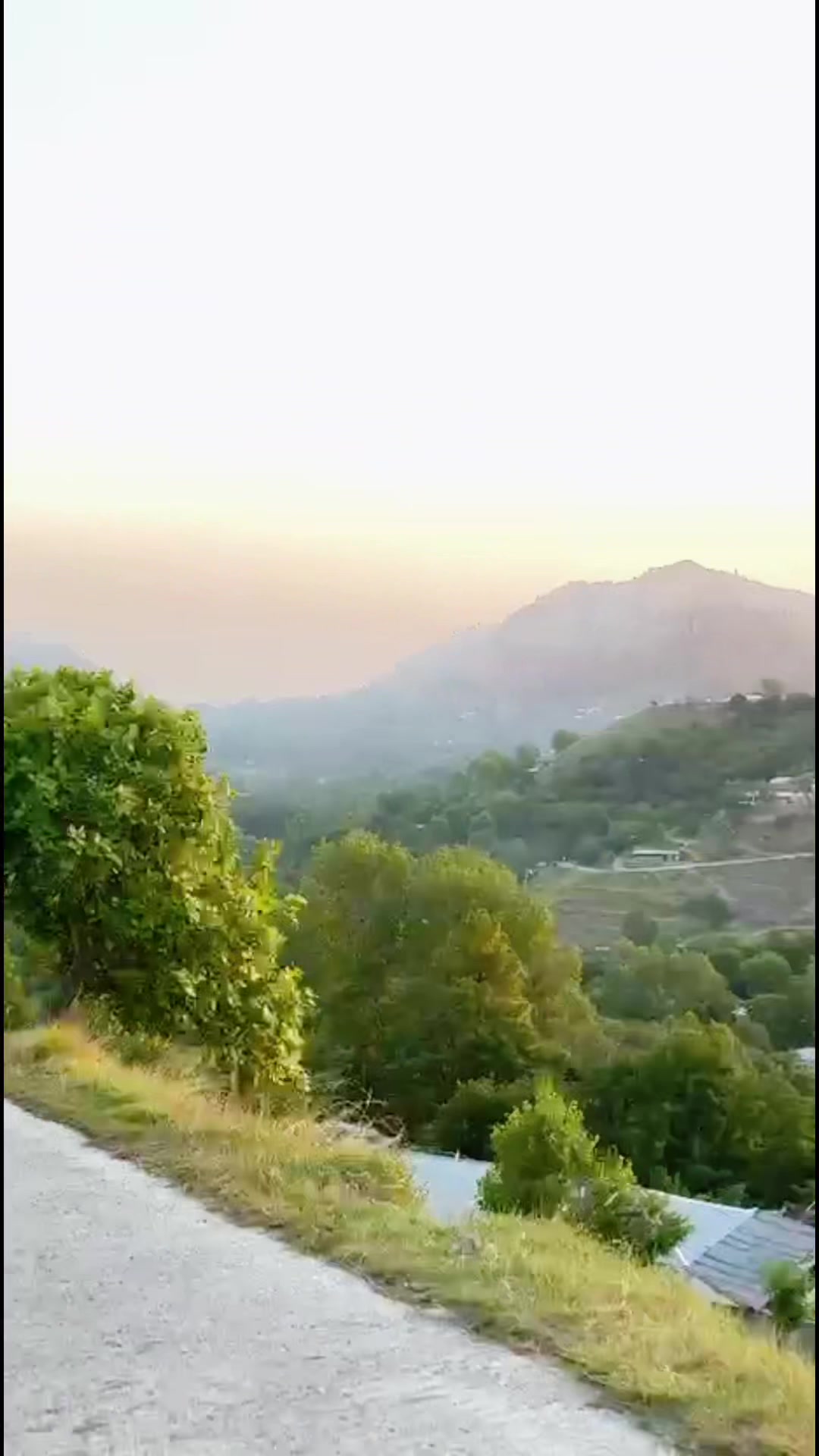 @🕊️𝓔𝓵𝓲𝓽𝓮_𝓥𝓲𝓫𝓮𝓼🕊️