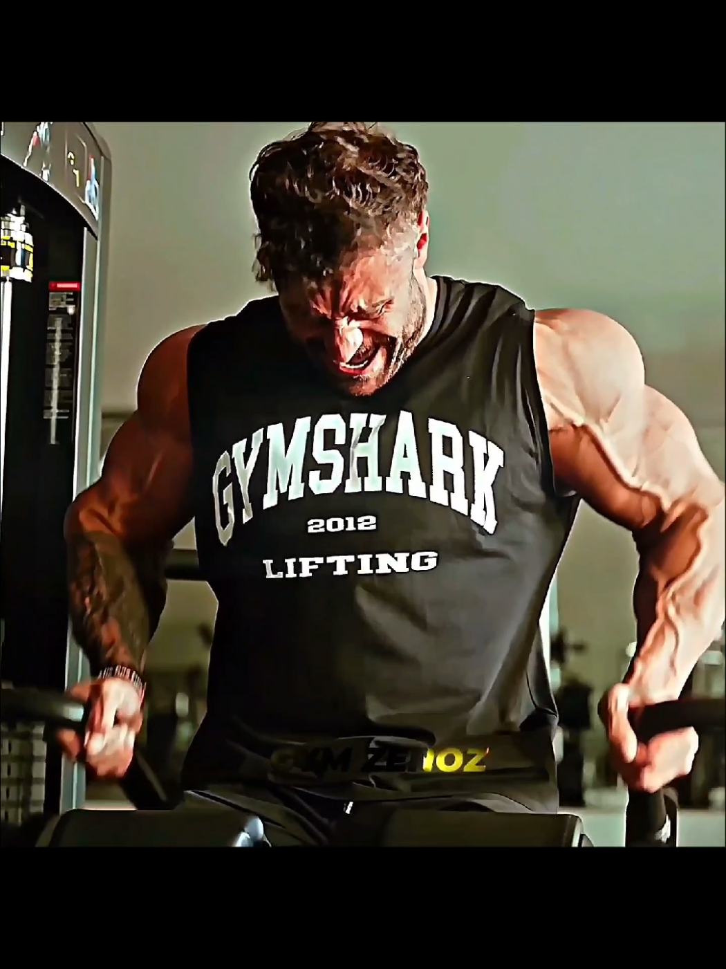 @Gym Zenoz