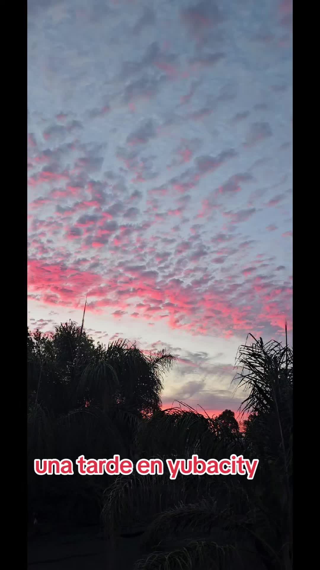 @IsidroEscobar
