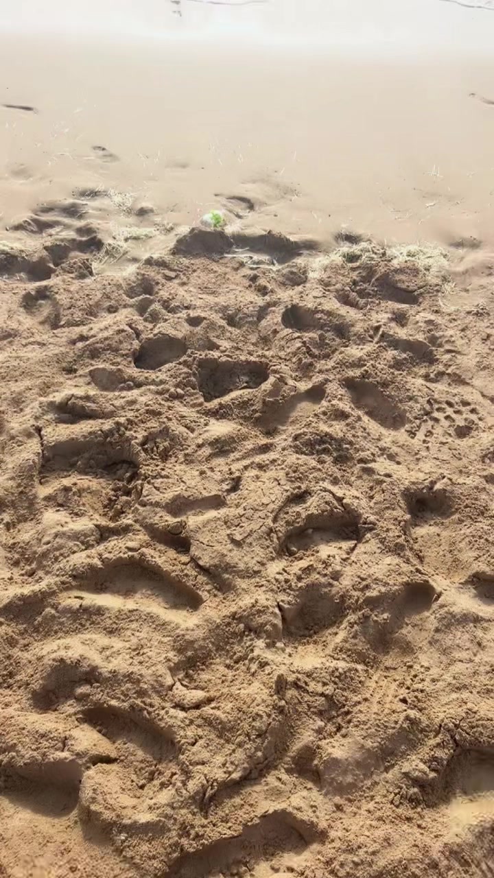 @راجية الغفران