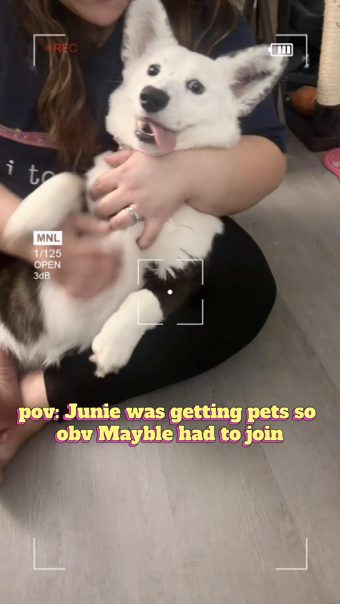 @Juniper & Mayble’s Gems