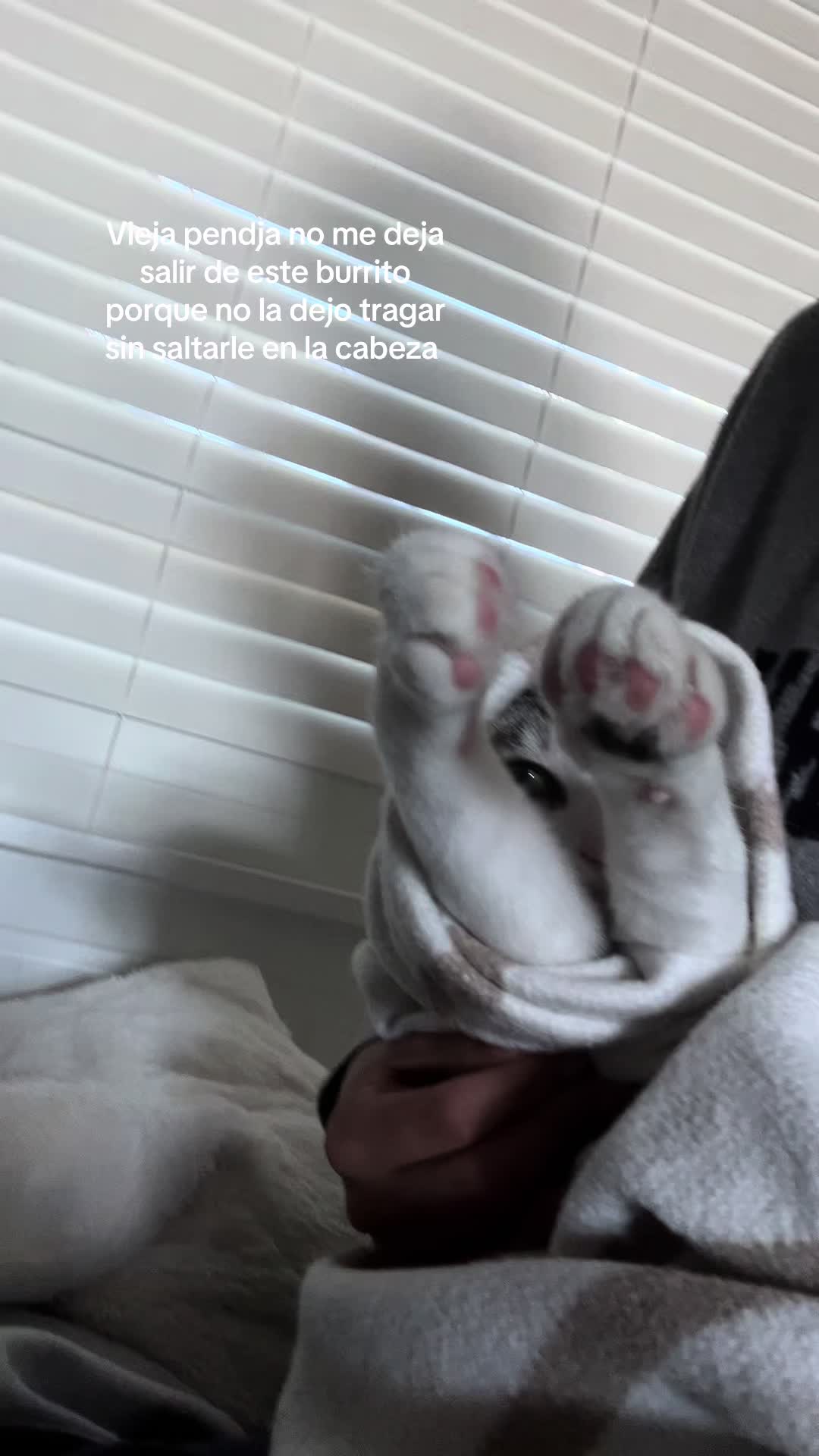 @mandarinaaaa