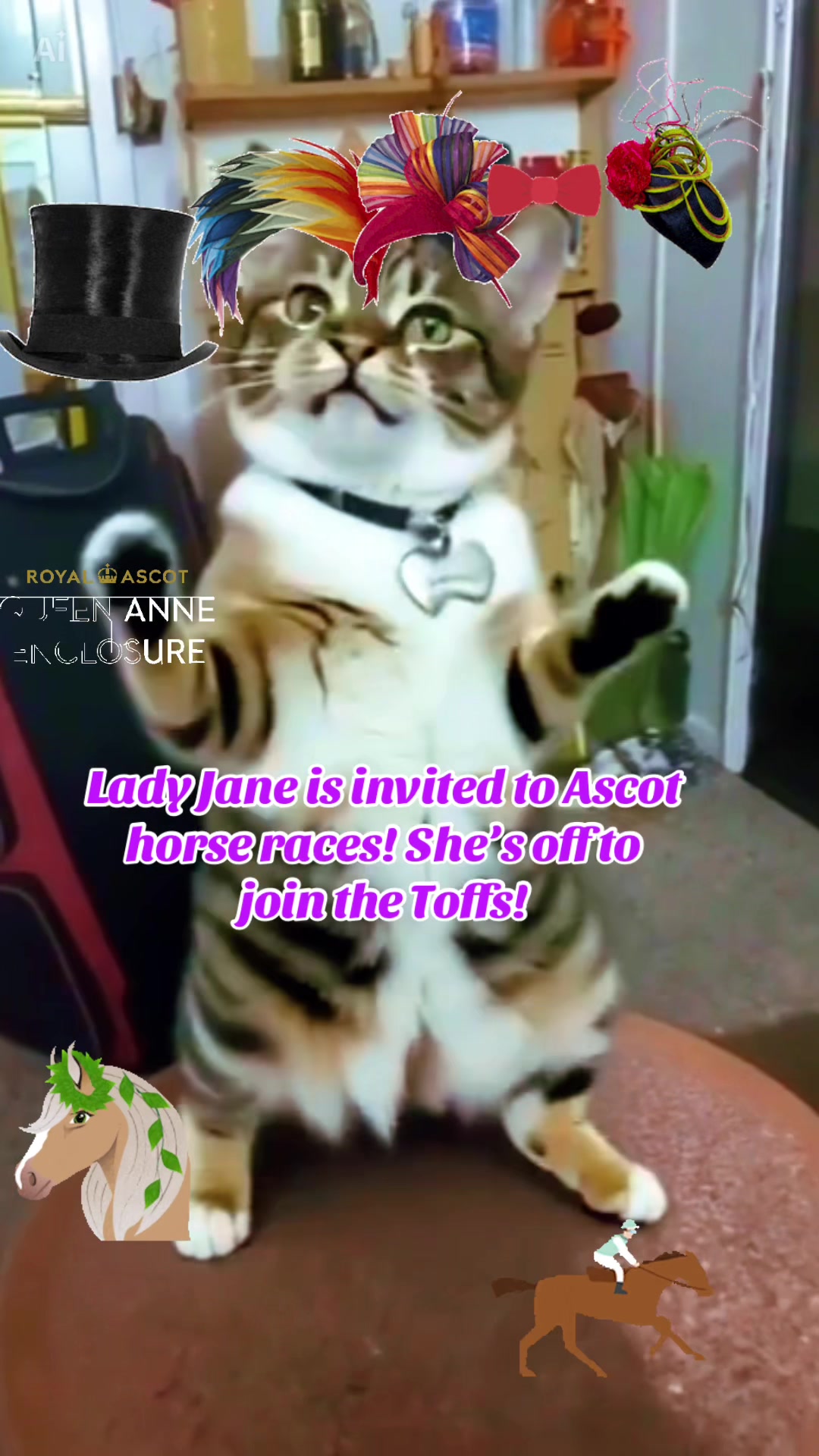 @🐈⬛🐈Shelby🐈