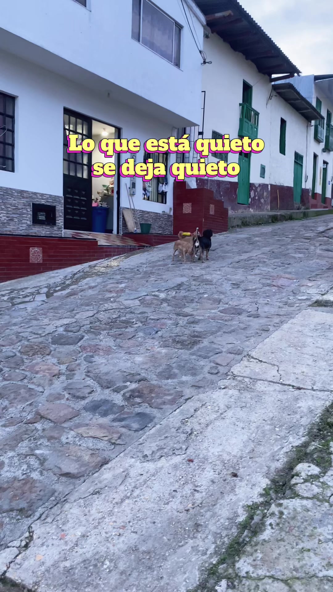 @OSCAR | Donde queda