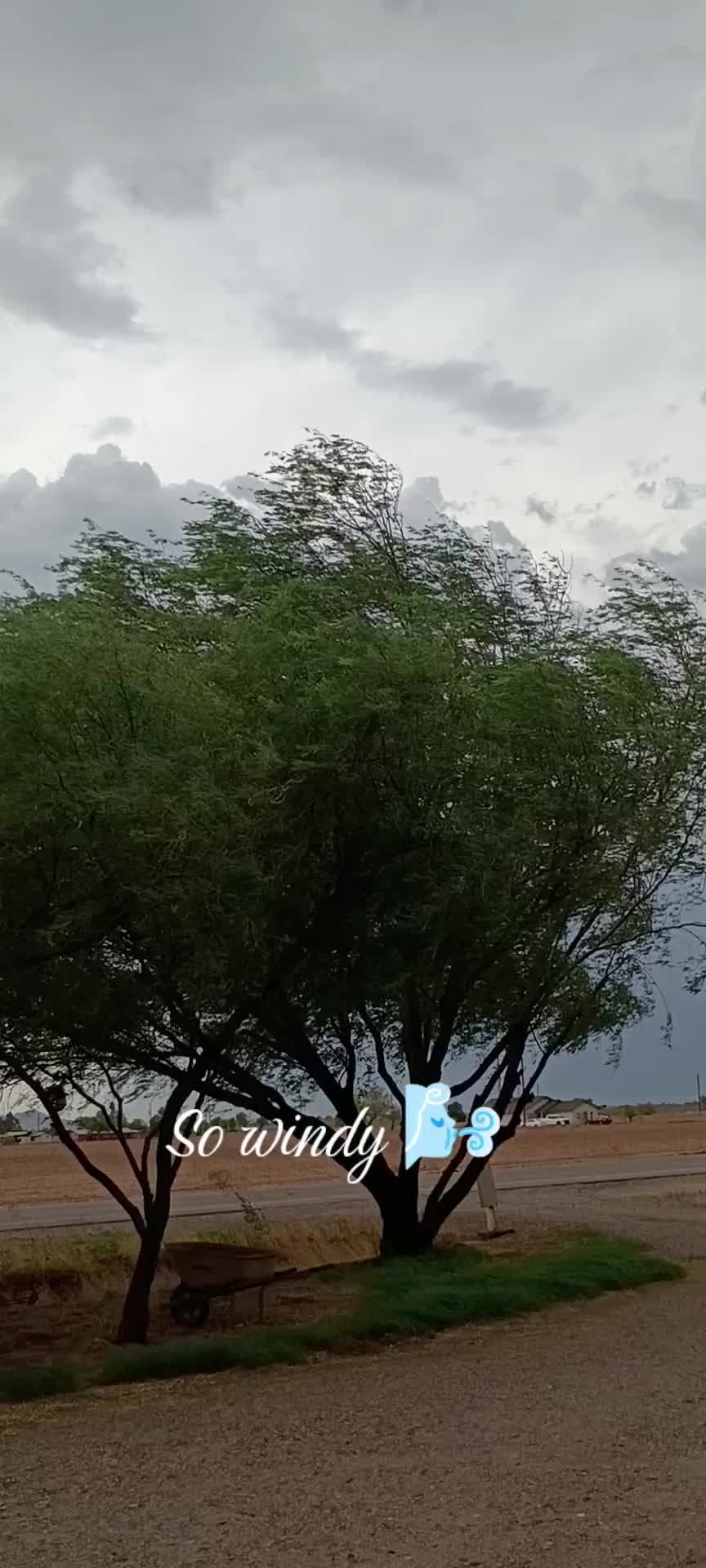 @&real;𝔢𝔊𝔦𝔫𝔞