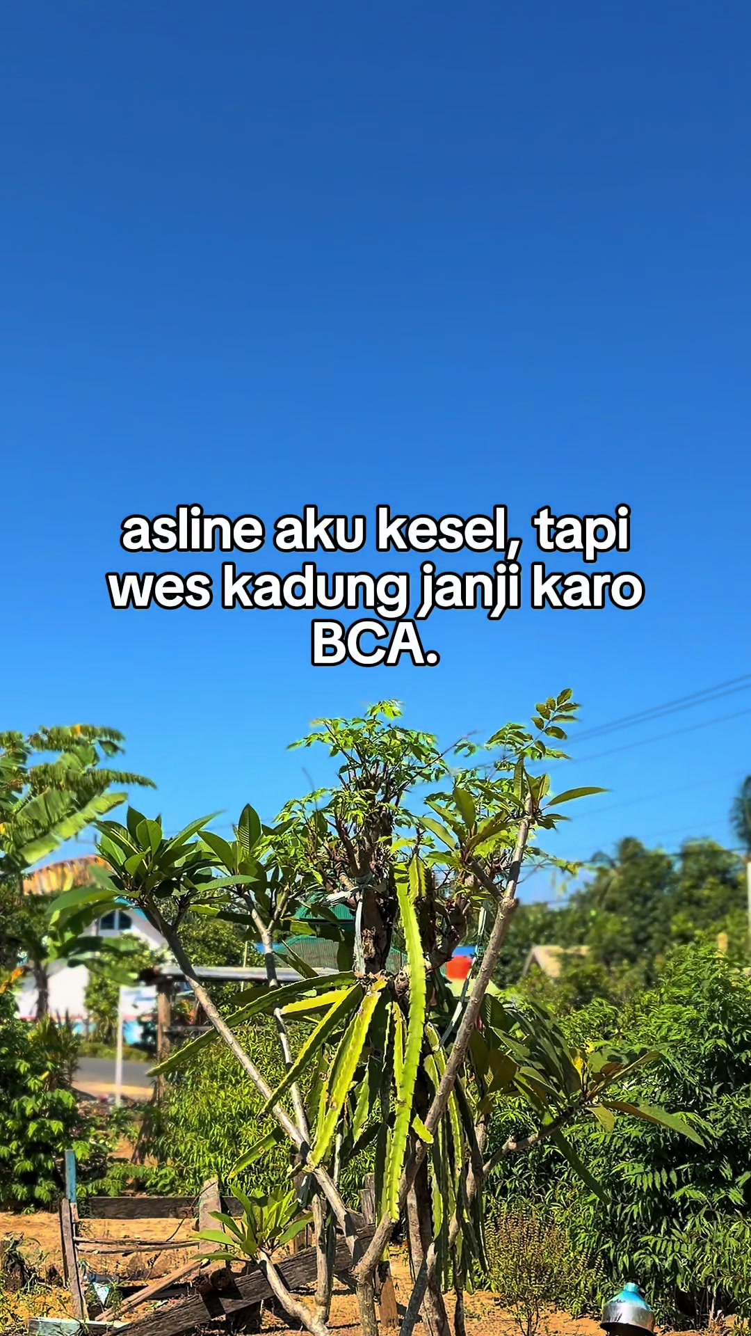@Bang Ogi 69