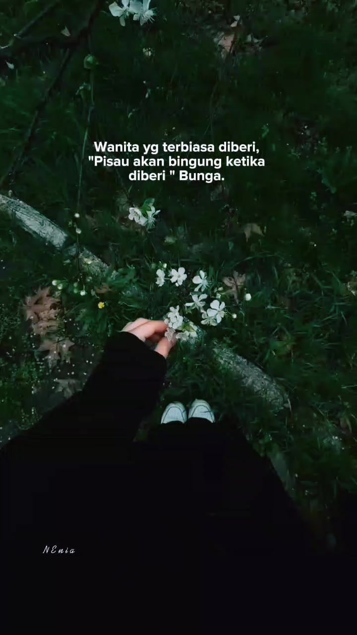 @๐๐๐ฃ๐๐ไบ
