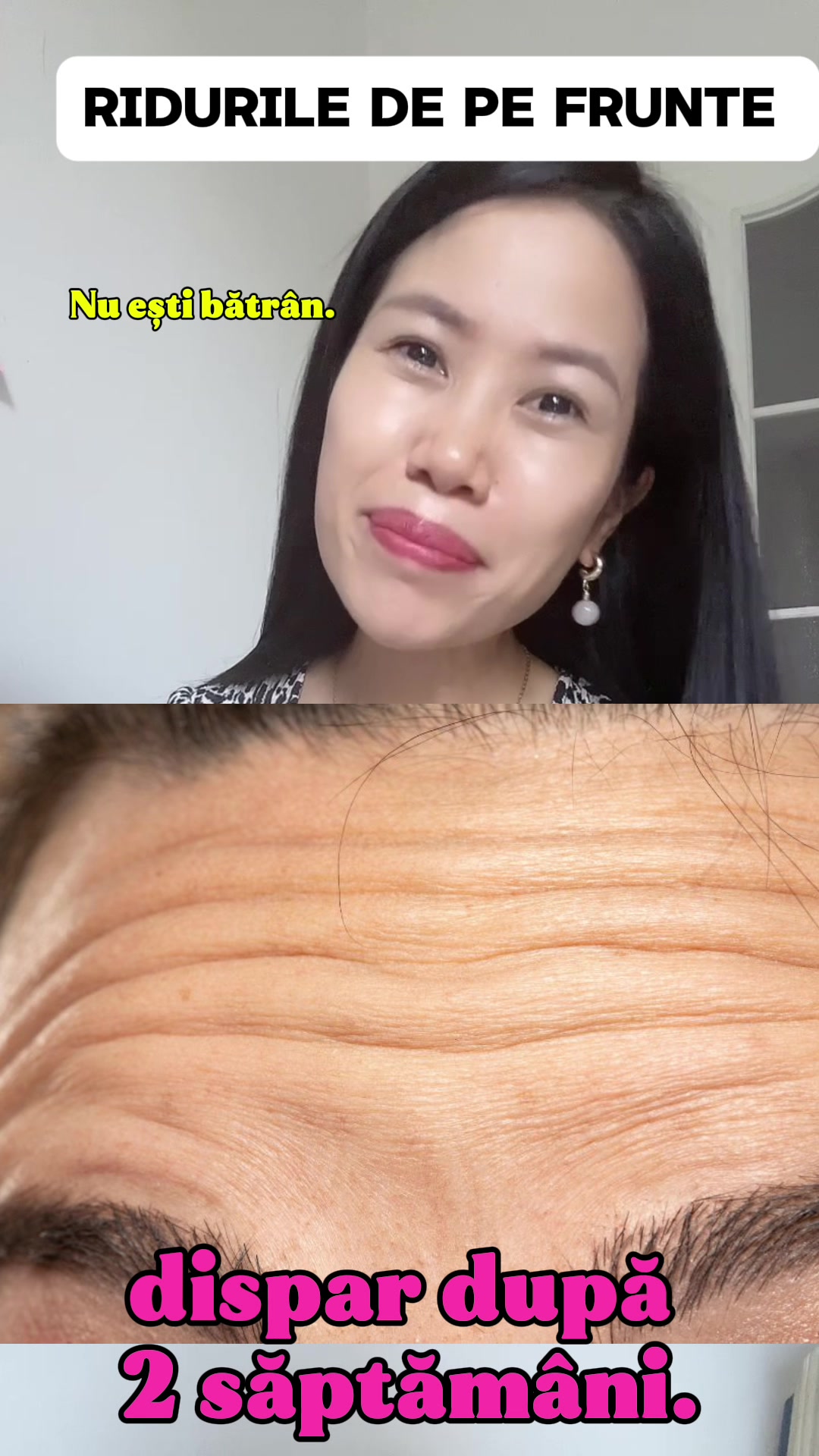 @Lily Official