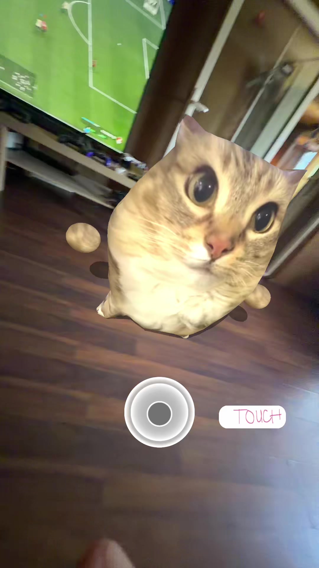 @IDᄃΛ$Ή ✮⋆˙