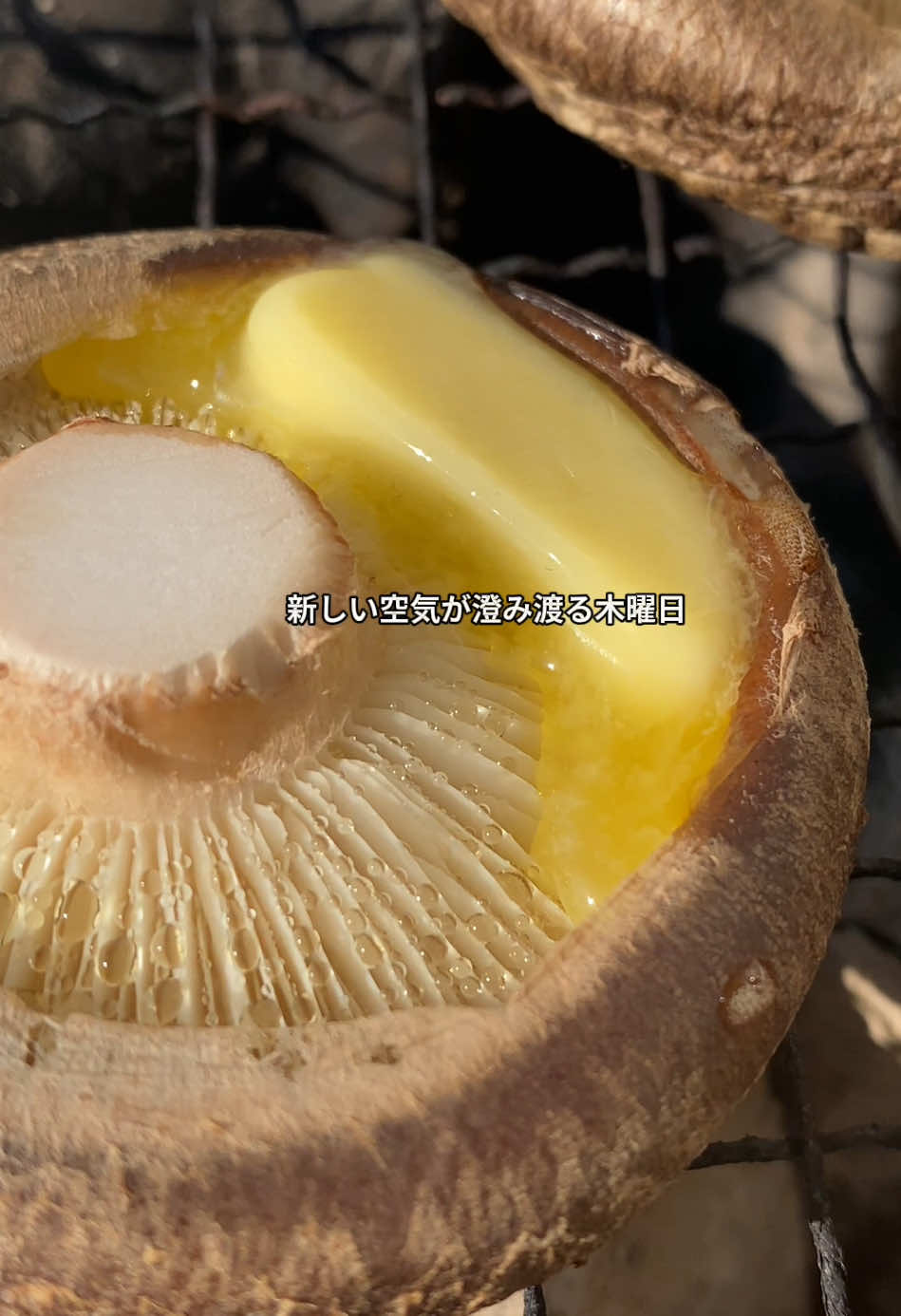 @さいとうなり