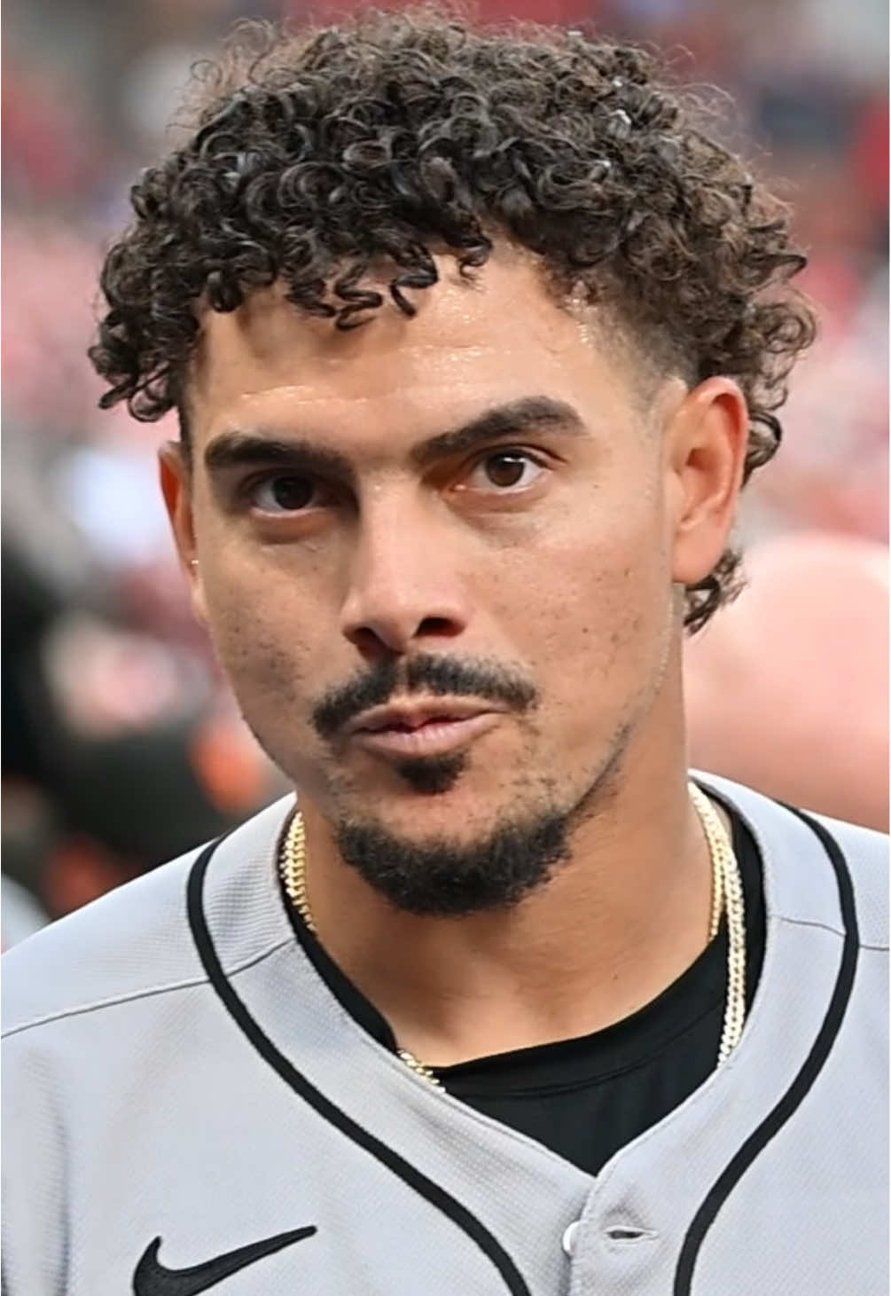 @Willy Adames