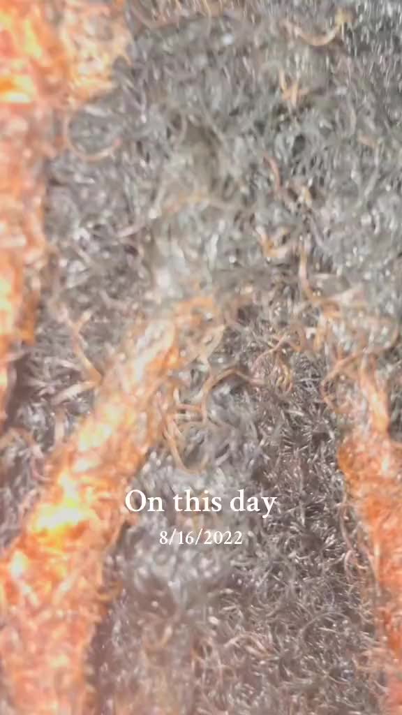 @TYLASHBOSS