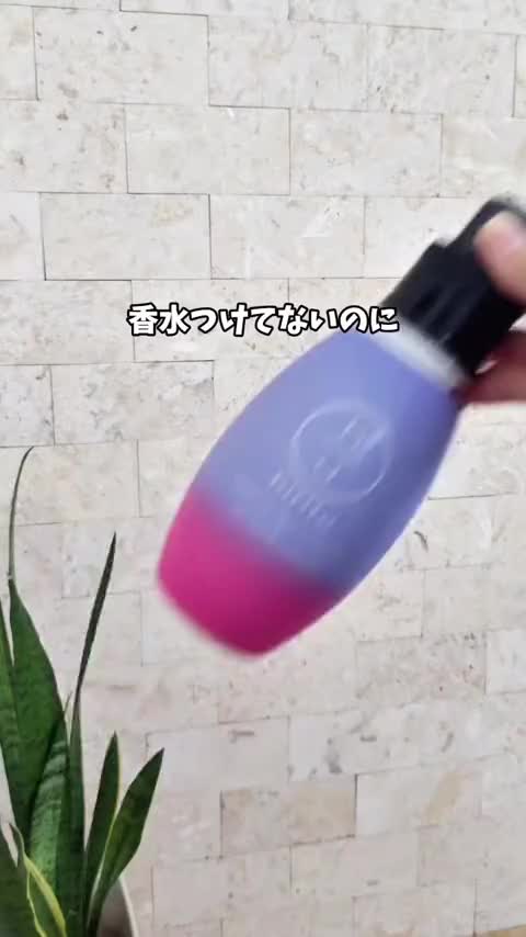 @しんのすけ🐾